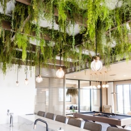 Resident lounge with greenery at NOVEL Edgehill Nashville apartments for rent.